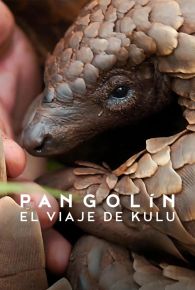VER Pangolín: El viaje de Kulu Online Gratis HD
