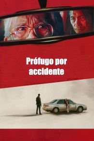 VER Prófugo por accidente Online Gratis HD